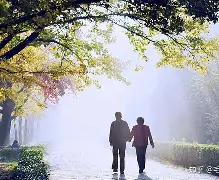 意甲清晨走向成谜，里昂调整名单，话题不断，资深球员宣示担当的简单介绍